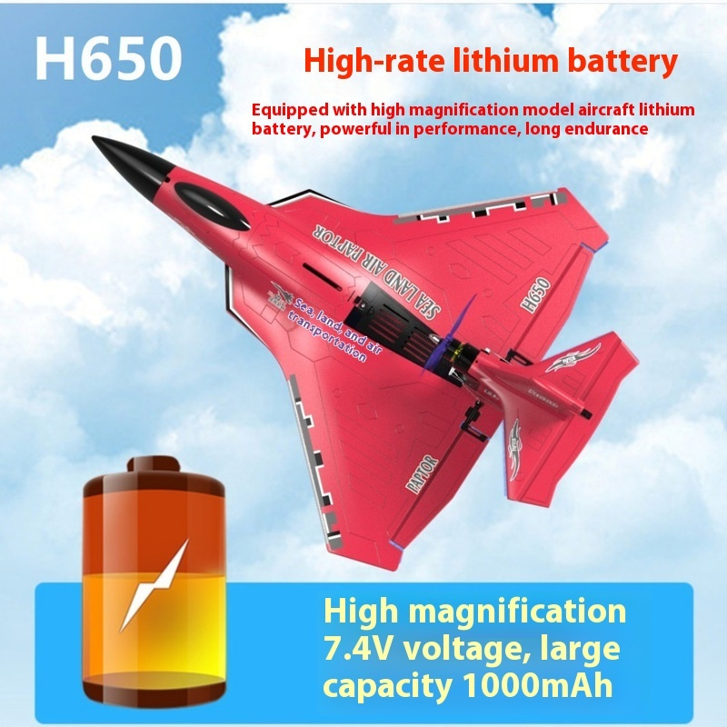 Rc Wing Glider - H650 Grote RC Vliegtuig Waterdicht en