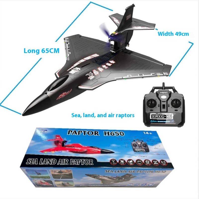 H650 Grote RC Vliegtuig Waterd - Rc Wing Glider recensie en prijs